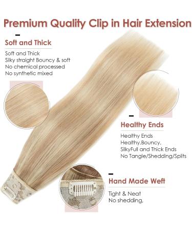Benehair Clip in Human Hair Extensions One Piece Real Human Clip in Hair Extensions 14 Inches 55g Camel Mixed Light Blond Real Human Hair Extension Upgraded V Type Clip in Hair Extension for Women - Buy Online on GoSupps.com