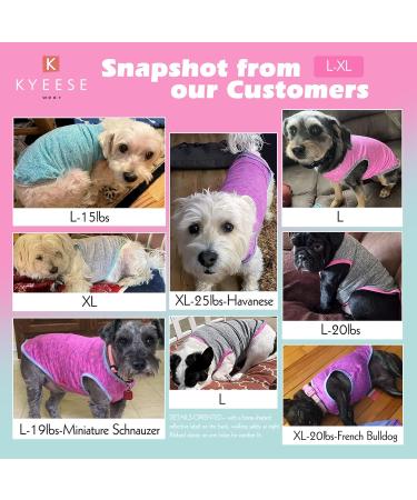 KYEESE 2 Pack Sun Protection Dog Shirts - Reflective Label Tank Top for Small Medium Dogs - Grey+Blue - Size 18 - Buy Online on GoSupps.com
