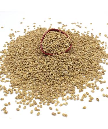 Thames Organic Pot Barley 1kg - Certified Non-GMO Vegan, No Additives or Preservatives, Resealable Bag - Shop Now! - Buy Online on GoSupps.com