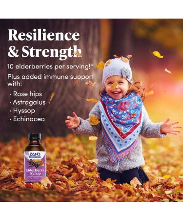 Zand Kids Elderberry Syrup 4 oz - Immune Support for Children - Buy Online on GoSupps.com