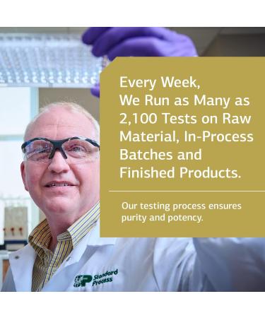 Standard Process GI Adsorb - Gastrointestinal Health & Elimination Dietary Supplement - Digestion System Support - Gluten-Free Non-Dairy & Non-Soy - 112 Capsules (28 Servings) - Buy Online on GoSupps.com