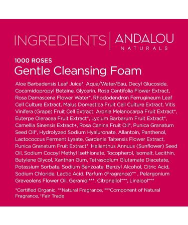 Andalou Naturals 1000 ROSES Gentle Cleansing Foam - Organic Hydrating Facial Cleanser for All Skin Types | International Shipping Available - Buy Online on GoSupps.com