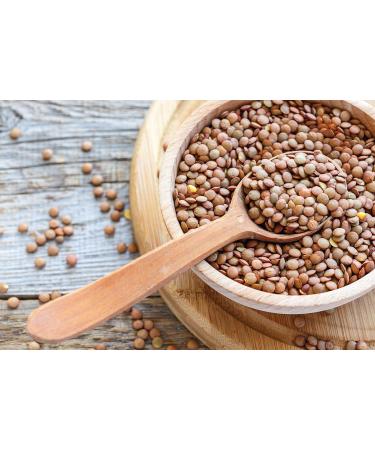 Salami Basini Colfiorito Valletta Lentils Salumi Pasini Lentils from Colfiorito Upland Italy No soaking necessary 500g - Buy Online on GoSupps.com