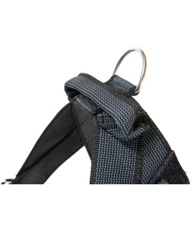 Julius-K9 Belt Harness M/0 Black-Grey | Durable Comfortable Dog Harness for All Breeds | International Shipping Available - Buy Online on GoSupps.com