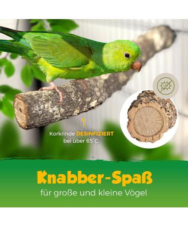 2 Set Natural Cork Bird Seat Rods - Perfect for Budgies Canaries & Parrots | Cleaned & Safe for Nibbling & Chewing - Buy Online on GoSupps.com
