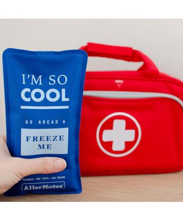 AllerMates Long Lasting Ice Gel Pack for Kid's Children's Large Medicine Cases - Buy Online on GoSupps.com