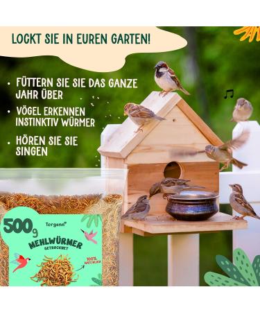 Torgenn Mealworms 500g | Nutrient-Rich Food for Wild Birds Fish & Turtles | 100% Natural & GVO-Free | Dried Mealworms for Pets - Buy Online on GoSupps.com