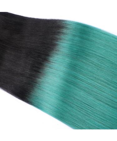 Buy Tape-In Hair Extensions - #1B/Sky Ombre - 70cm - 100% Remy Real Hair - 10 Bricks - 4cm Wide - Tress by Novon Hair Extensions - Buy Online on GoSupps.com