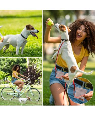 Fantesi Portable Dog Training Treat Bag - 2 Pcs Hands-Free Snack Dispenser with Carabiner for Easy Walking & Feeding - Buy Online on GoSupps.com