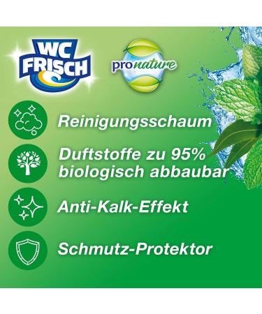 WC Frisch Kraft Active Pro Nature Mint & Eucalyptus Toilet Cleaner - 10 Pack | 95% Biodegradable Fragrance Stones for Long-Lasting Freshness | International Shipping Available - Buy Online on GoSupps.com