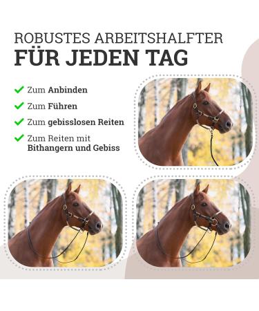 Esposita Seilhafter Ranch Halfter for Horses | Leather & Rope with Brass Fittings | Ideal Bite-Free Halter | Brown Pony Size - Buy Online on GoSupps.com