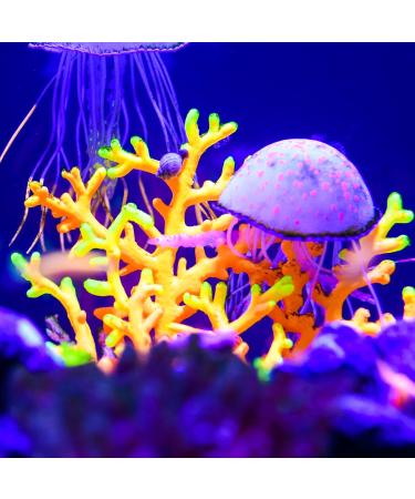Buy VOCOSTE Silicone Glowing Aquarium Simulation Coral - Purple Violet with Suction Cup for International Shipping - Buy Online on GoSupps.com