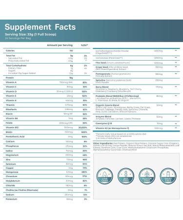 LyfeFuel Meal Replacement Shakes - All-in-One Plant-Based Nutrition Shake & Smoothie Powder - Organic Greens and Superfoods  Complete Vegan Protein  & 50+ Whole Food Nutrients (Chocolate  24 Servings) Dairy-Free  Keto  Low - Buy Online on GoSupps.com