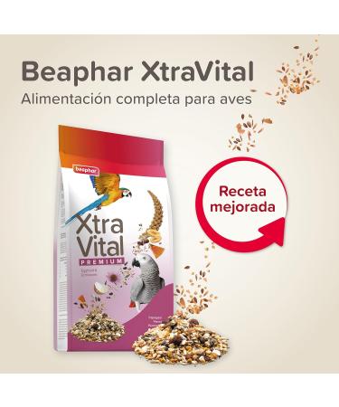 BEAPHAR XTRAVITAL Premium Food for Parrot Contains Fruits Seeds and Egg Pate Strengthens the Immune System Provide - Buy Online on GoSupps.com
