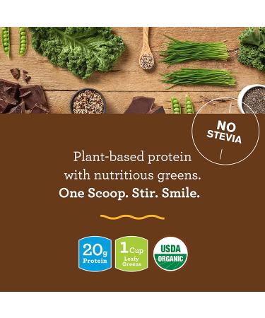 Buy Amazing Grass Vegan Protein & Kale Powder â€“ 20g Organic Protein + 1 Cup Greens, Chocolate Flavor, 15 Servings - Buy Online on GoSupps.com