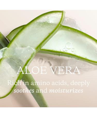 KORA Organics Minty Mineral Hydration Mist - Refreshing Aloe Vera Spray Certified Organic & Cruelty Free 3.38 fl oz - Buy Online on GoSupps.com