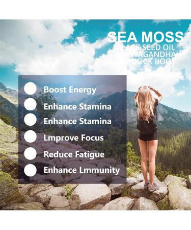 Meidlfesun Organic Sea Moss Capsules with Black Seed Oil & Ashwagandha | Immune Skin & Energy Support | 60 Vegan Capsules | Non-GMO Gluten-Free - Buy Online on GoSupps.com
