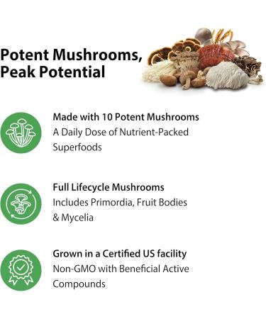 Rainbow Light Mushroom Power Supplement | 60 Capsules | Complex Made with 10 Potent Mushrooms | Includes Lions Mane Chaga Shiitake Reishi & More | Non-GMO and Gluten Free - Buy Online on GoSupps.com