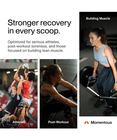 Momentous Recovery Grass-Fed Whey Protein Powder - 20 g Post-Workout Whey Isolate Protein - NSF Certified for Sport - Gluten-Free - 15 Servings - Chocolate - Package May Vary Chocolate 1.43 Pound (Pack of 1) - Buy Online on GoSupps.com