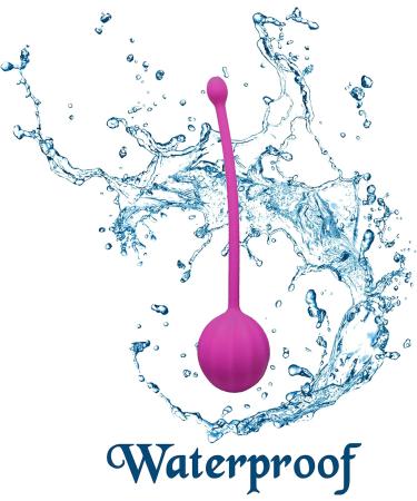 Kegel Exercise Weights for Women - Bladder Control Device & Pelvic Floor Trainer - SXNSE - Buy Online on GoSupps.com