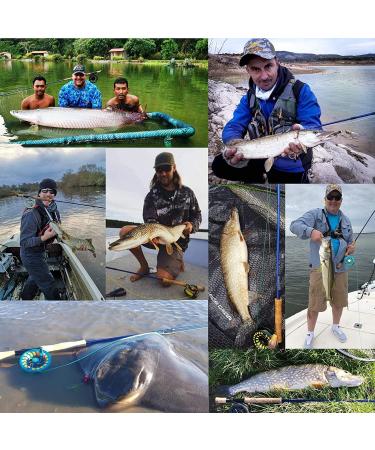 Maximcatch Predator Fly Rod & Reel Combo - 9ft 9WT IM10 - Saltwater/Freshwater - International Shipping Available - Buy Online on GoSupps.com