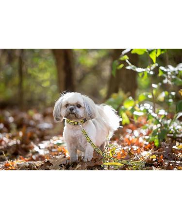 NFL Green Bay Packers Small Pet Leash by Pets First - Officially Licensed - Buy Online on GoSupps.com