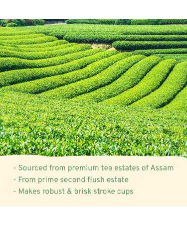 Hand-Picked English Breakfast Black Tea Bags | 25 Count | Eco-Friendly | Brooth Kombucha & Tea - Buy Online on GoSupps.com