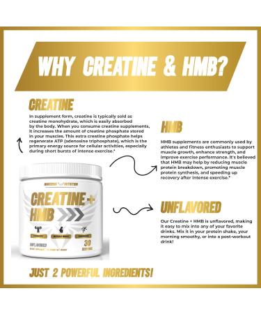 Creatine HMB - Creatine Powder for Men - Creatine Powder - Creatine Supplement - Creatine for Men - HMB Creatine - Creatine - Creatine Monohydrate - 30 Servings - Unflavored (Creatine + HMB) - Buy Online on GoSupps.com