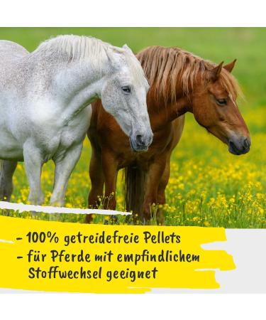 EquiGreen Natural Power Grain Free Pellets 9kg Horse Food - Buy Online on GoSupps.com
