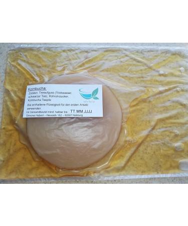 Buy Water Kefir & Kombucha: Premium Japanese Crystals & Tea Fungus Scoby for Healthy Gut | International Shipping - Buy Online on GoSupps.com