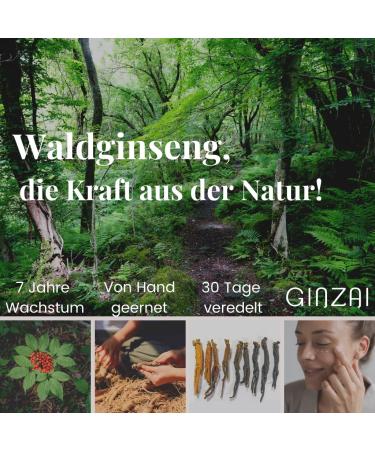 Ginzai Body Butter 300ml | Korean Moisturizing Cream with Ginseng | Skin Tightening & Hydrating Solution for Dry Skin - Buy Online on GoSupps.com