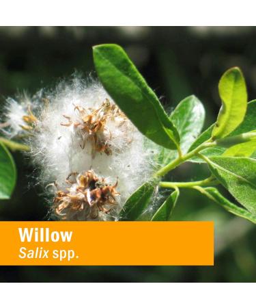 Herb Pharm Willow Blend Liquid Herbal Formula 1oz - Pack of 1 - Buy Online on GoSupps.com