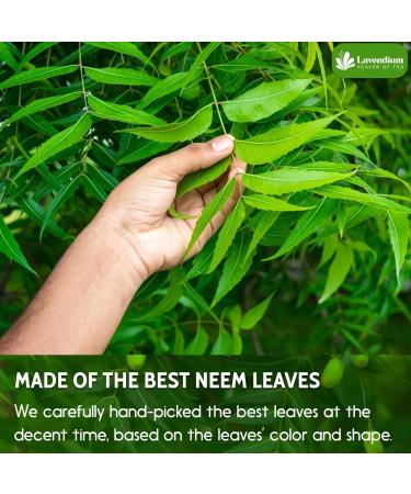 Lavendium Premium 100g (3.52oz) Neem Leaves Powder 100% Natural and Pure from Neem Leaves Neem Leaves Herbal Tea No Additives No Gluten No Sugar Vegan CA - Buy Online on GoSupps.com