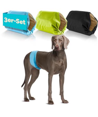 Dog is K nig dog diapers for male 3 pcs suction -strong dog diapers male |Comfortable dogs diapers with incontinence dog - environmentally friendly male diaper washable |Dog diaper easy to clean black |Blue |Green XL (59 - 65cm) - Buy Online on GoSupps.com