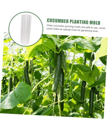 Toddmomy Garden Fruit Mould 10 Pcs Vegetable Shaping Mold Vegetables Square Cucumber Mold Vegetable Shape Mold Gourd Accessories - Buy Online on GoSupps.com