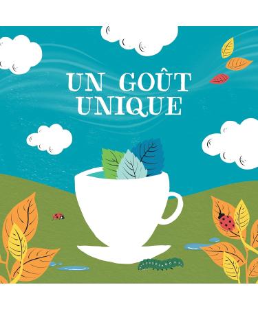 CLIPPER - Organic Mint Green Tea - Marrakech - Fair Trade - 20 Organic Tea Bags - 1 pack - Buy Online on GoSupps.com
