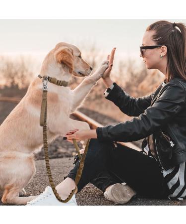 Elite Tactical Bungee Dog Leash - Elastic Camouflage Training Line for Dogs - Comfortable Walk & Control | Shipping Worldwide - Buy Online on GoSupps.com