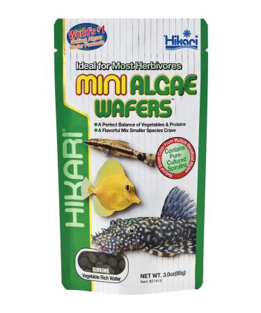 Hikari Tropical Mini Algae Wafers Fish Food, 3.0 oz (85g) 3 Ounce (Pack of 1)