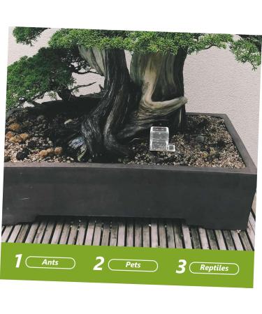 Mipcase 5pcs Pet Water Feeder Insect Feeder Small Ants Feeder Clear Ants Feeder Ants Watering Cup Plastic - Buy Online on GoSupps.com