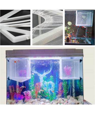 2 Pack Large Mesh Aquarium Fish Breeder Box - Fry Nursery Net for Baby Fish & Shrimp - Tank Divider for Guppy, Clownfish & Aggressive Fish - Buy Online on GoSupps.com