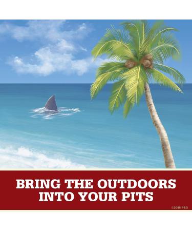 Old Spice Aluminum Free Deodorant for Men Fiji - 3.0 oz (Pack of 3) - Palm Tree Scent - Fiji 3 Count - Buy Online on GoSupps.com