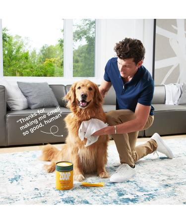 ZOOP Extra-Large Pet Wipes/Towels - Eliminates Whole-Body Odor | Grooming Bath Towels for Dogs & Cats | Fragrance-Free | 10 Count - Buy Online on GoSupps.com