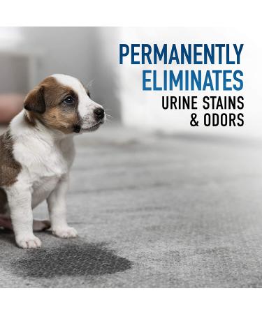 Hoover Oxy Pet Urine & Stain Eliminator Carpet Cleaning Shampoo 50oz AH31955 - Buy Online on GoSupps.com