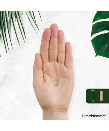 Liquorice Root Extract 900mg Capsules - Pure Licorice Root Powder Supplement for Men & Women - 180 Count, 3 Month Supply - No Artificial Preservatives by Horbaach - Buy Online on GoSupps.com