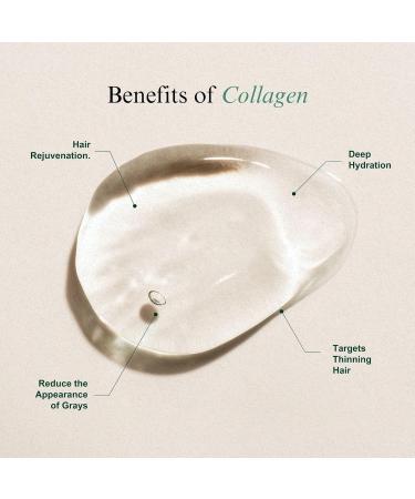Collagen Hair Treatment - Bevanni powerFOL for Stronger Healthier Hair | International Shipping Available - Buy Online on GoSupps.com