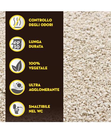 Croci Tofu Clean Litter 10L - Clumping Cat Litter Biodegradable flushes down the toilet 100% vegetable Long lasting Anti-odor Sand 10 L NATURAL - Buy Online on GoSupps.com