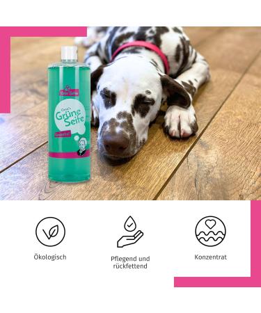 Buy Grandma's Green Soap Liquid 1L Concentrate - Vegan All-Purpose Cleaner | Versatile Eco-Friendly & Lubricating Soap | Best for Cleaning & Flap Flaps - Buy Online on GoSupps.com