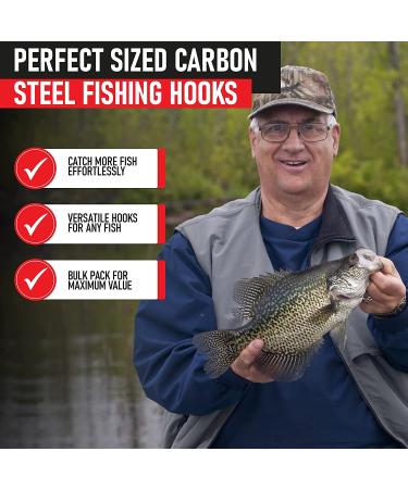 Fishing Hooks Assortment for Freshwater - Small Panfish, Bass, Trout, Bluegill - Ideal for Bass Fishing - Buy Online on GoSupps.com
