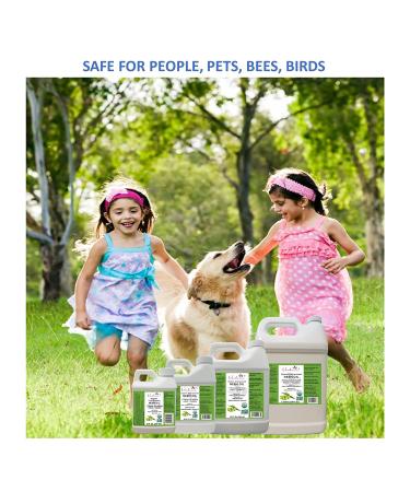 Verdana USDA Organic Cold Pressed Neem Oil 32 Fl. Oz - Non GMO Certified - High Azadirachtin Content - 100% Neem Oil for Pet Care, Skin Care, Hair Care - Buy Online on GoSupps.com
