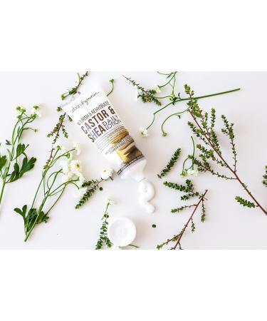Urban Hydration Castor & Shea Face Cleanser & Lotion Duo | Hydrates Cleanses Evens Skin Tone | All Skin Types | Glow & Smooth Finish - Buy Online on GoSupps.com